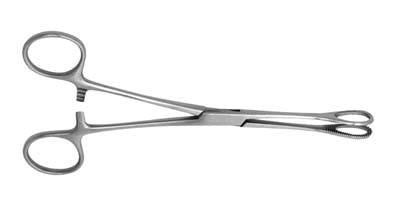 Swab Holding Forceps 18cm