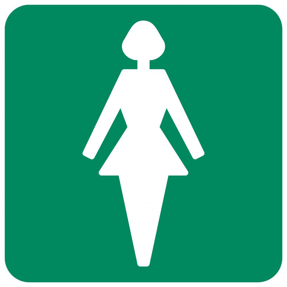 Ladies Toilet safety sign